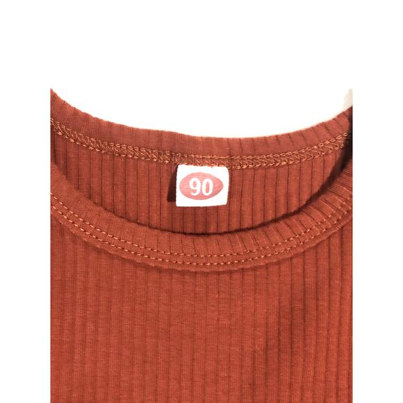 GIRLS FALL DRESS SIZE 2 - Picture 2 of 2